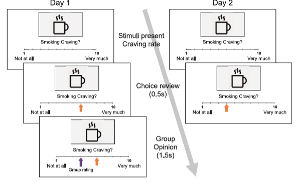 Representative figure for Social norms modulate asymmetric effects of group opinions on cue-induced smoking craving
