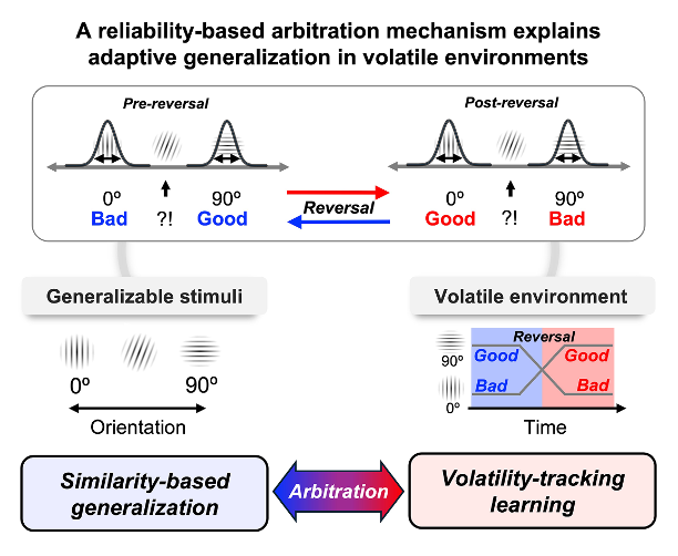 Representative figure for Adaptive generalization and efficient learning under uncertainty